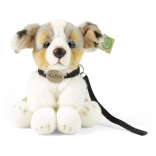 pluszowy pies owczarek australijski z smyczą 28 cm eco friendly