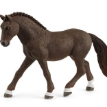 Niemiecki kuc jeździecki