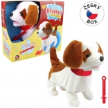 Piesek Besinka z gwizdkiem