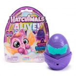 Hatchimals Neonowa Tęcza