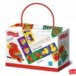 Domino Far Far Land kolorowe z obrazkami