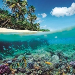 Puzzle Letni raj 1000 elementów od Clementoni