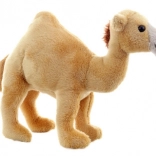 Pluszowy dromedar 20 cm