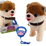 Interaktywny piesek na smyczy